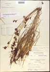 000021213-thumbnail.jpg