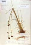 000021214-thumbnail.jpg