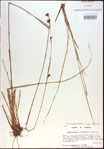 000021215-thumbnail.jpg