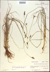 000021216-thumbnail.jpg