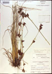 000021219-thumbnail.jpg