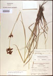 000021220-thumbnail.jpg