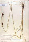 000021221-thumbnail.jpg