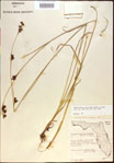 000021224-thumbnail.jpg
