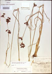 000021226-thumbnail.jpg