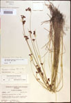 000021227-thumbnail.jpg