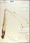 000021228-thumbnail.jpg