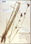 000021230-thumbnail.jpg