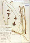 000021231-thumbnail.jpg