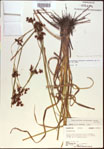 000021232-thumbnail.jpg