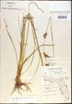000021234-thumbnail.jpg
