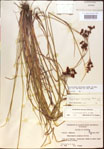 000021236-thumbnail.jpg
