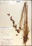 000021237-thumbnail.jpg