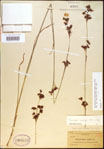 000021238-thumbnail.jpg