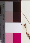 000021242-thumbnail.jpg