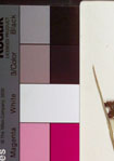 000021243-thumbnail.jpg