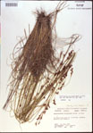 000021245-thumbnail.jpg