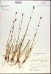 000021247-thumbnail.jpg