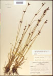 000021248-thumbnail.jpg