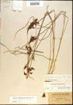 000021249-thumbnail.jpg