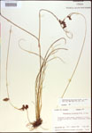 000021250-thumbnail.jpg