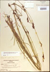 000021252-thumbnail.jpg