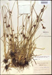 000021254-thumbnail.jpg