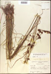 000021255-thumbnail.jpg
