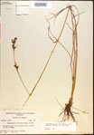 000021256-thumbnail.jpg