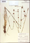 000021257-thumbnail.jpg