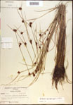000021259-thumbnail.jpg