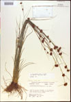 000021260-thumbnail.jpg