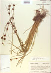 000021262-thumbnail.jpg