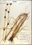 000021264-thumbnail.jpg