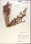 000021266-thumbnail.jpg