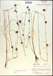 000021267-thumbnail.jpg