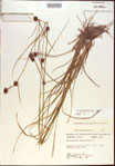 000021268-thumbnail.jpg