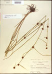 000021269-thumbnail.jpg