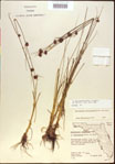000021272-thumbnail.jpg