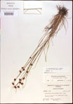 000021273-thumbnail.jpg