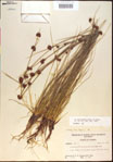000021275-thumbnail.jpg