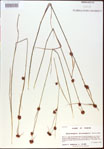 000021278-thumbnail.jpg