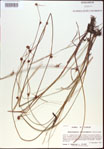 000021280-thumbnail.jpg