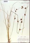 000021281-thumbnail.jpg