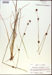 000021283-thumbnail.jpg