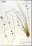 000021284-thumbnail.jpg