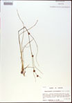000021285-thumbnail.jpg
