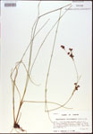 000021286-thumbnail.jpg