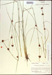 000021287-thumbnail.jpg