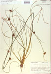 000021288-thumbnail.jpg